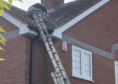 ivory property services gallery 34