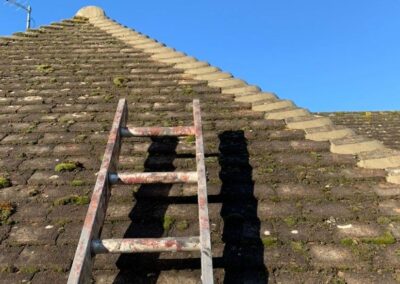 ivory property services gallery 65