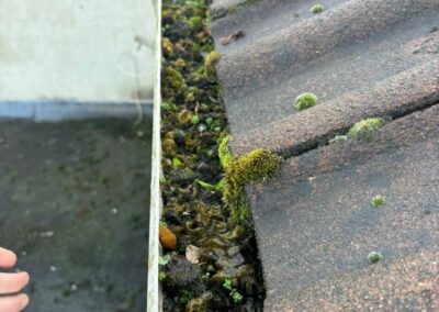 ivory property services gallery 67