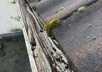 ivory property services gallery 69